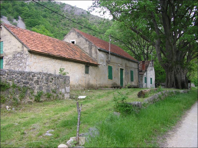 Krcic (10)